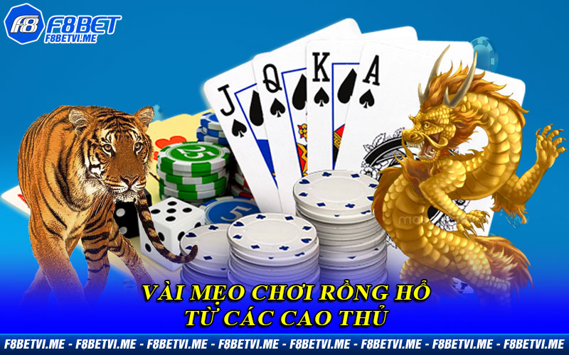 Vài mẹo chơi Rồng Hổ từ các cao thủ